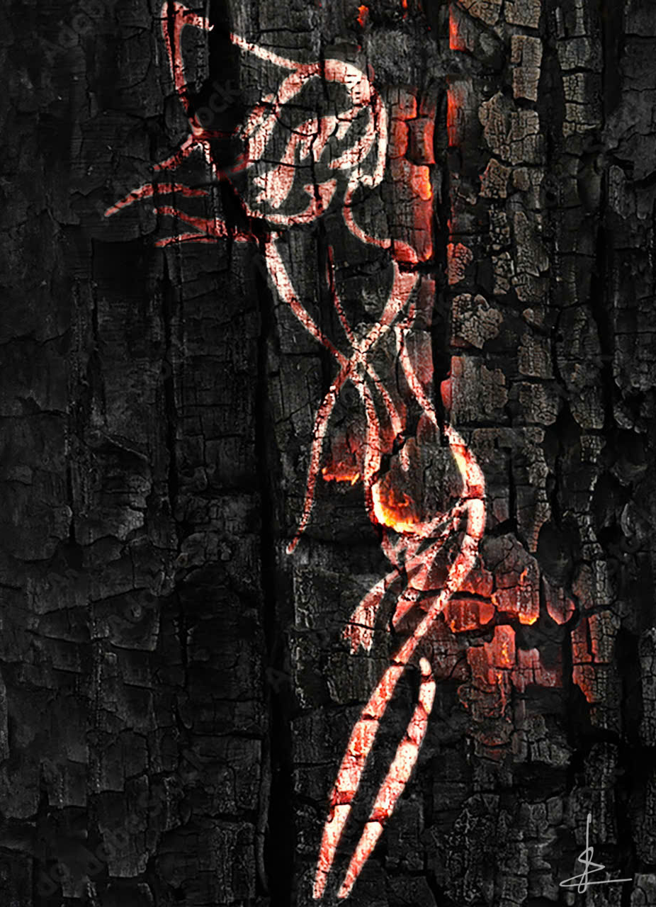 Tp: Tàn Tro ( Acrylic trên toan)